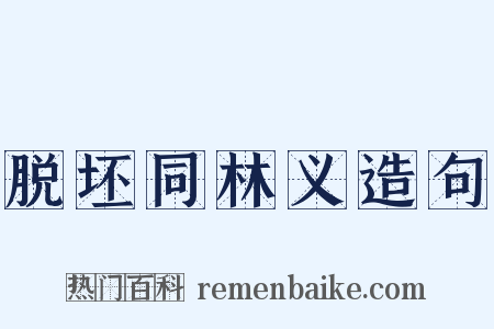 脱坯同林义造句是什么意思的图片